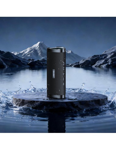 Altavoz Bluetooth Flex Go 24W IPX6 | 12h autonomía