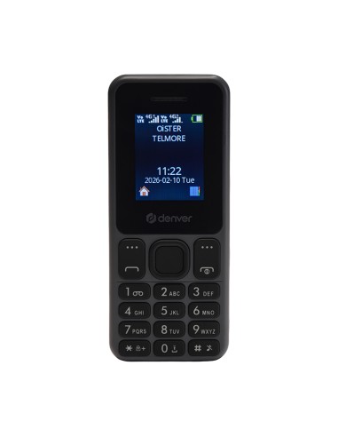 Telemóvel Denver FAS-1880L 4G Cinzento | ByMASI